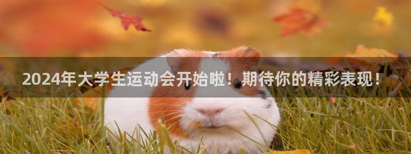 抖球体育app手机版免费：2024年大学生运动会开始啦！期待你的精彩表现！