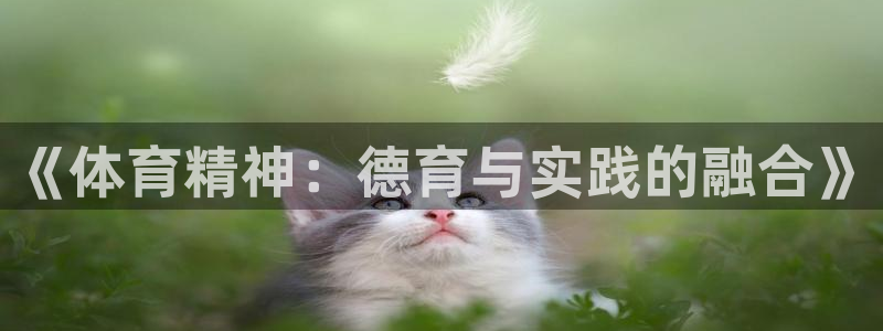 抖球体育app手机版免费：《体育精神：德育与实践的融合》