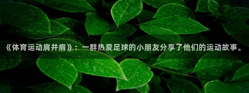 抖球体育：《体育运动肩并肩》：一群热爱足球的小朋友分享了他们的运动故事。