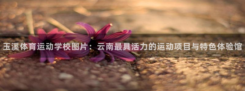 抖球体育：玉溪体育运动学校图片：云南最具活力的运动项目与特色体验馆