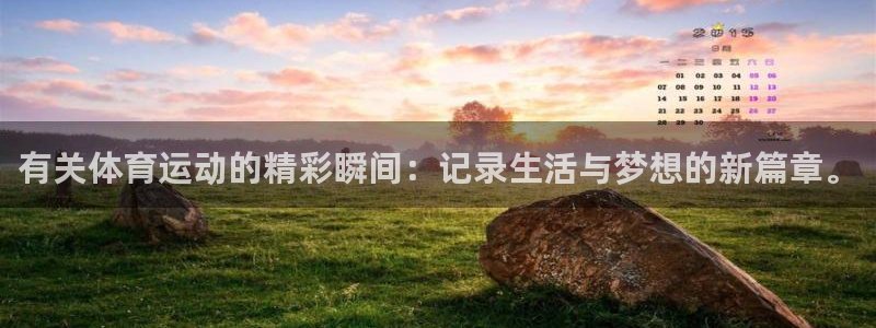 抖球体育：有关体育运动的精彩瞬间：记录生活与梦想的新篇章。