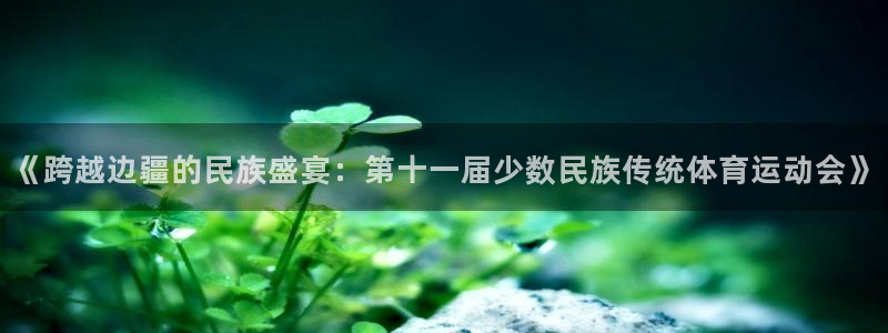 抖球体育：《跨越边疆的民族盛宴：第十一届少数民族传统体育运动会》